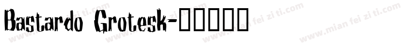 Bastardo Grotesk字体转换